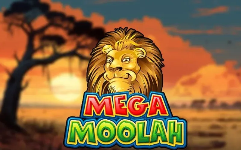 Der legendäre progressive Jackpot von Mega Moolah erwartet Sie bei Candy Spinz.