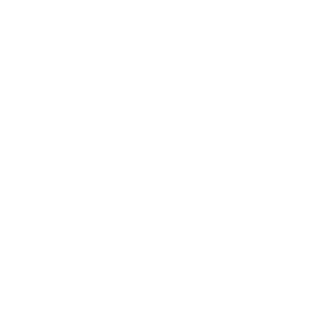 Logo Bullet Proof.